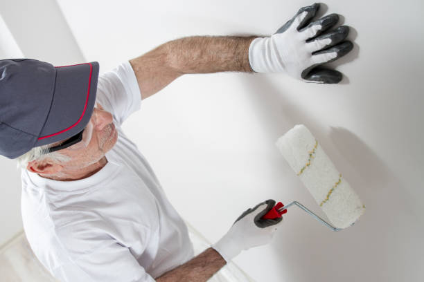 Best Mold Removal for HVAC Installations  in Liberty, KY