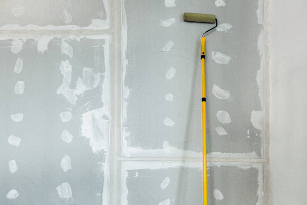 Best Mold Documentation for Insurance Claims  in Liberty, KY