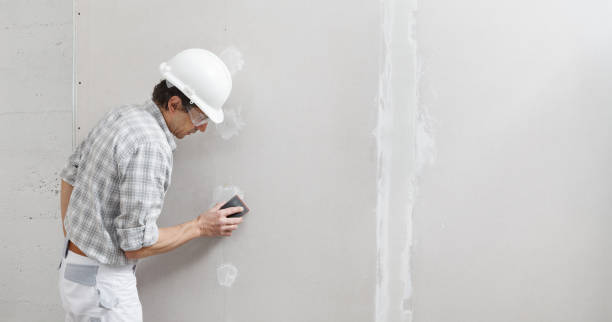 Best Asbestos and Lead Testing During Mold Inspection  in Liberty, KY