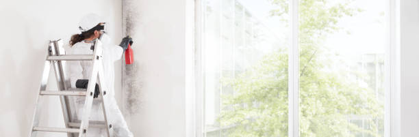 Best Mold Prevention Services  in Liberty, KY